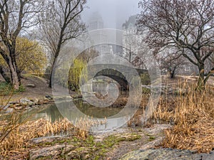 Central Park, Manhattan, New York City in winter photo