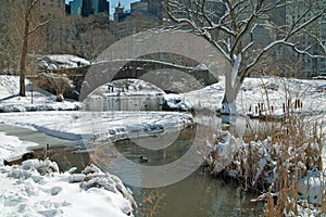 Central Park Manhattan New York USA