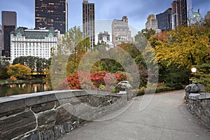 Central Park and Manhattan Skyline.