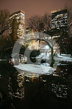 Central Park and manhattan skyline at night