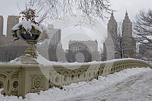 Central Park during middle of snowstorm with snow falling in New York City