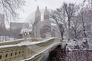 Central Park during middle of snowstorm with snow falling in New York City photo