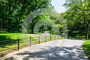 Central park N.Y.C