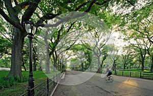 Central Park in New York