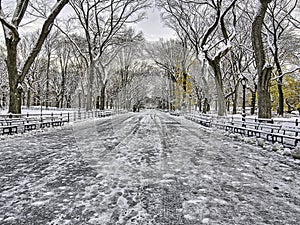 Central Park, New York City