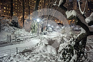 Central Park, New York City