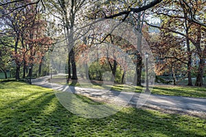 Central Park, New York City