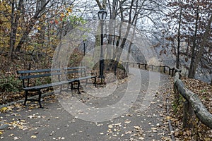 Central Park, New York City photo