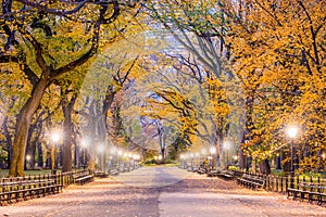 Central Park New York City Autumn