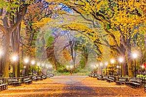 Central Park New York City Autumn