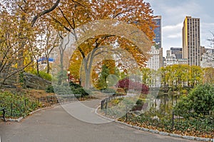 Central Park, New York City autumn