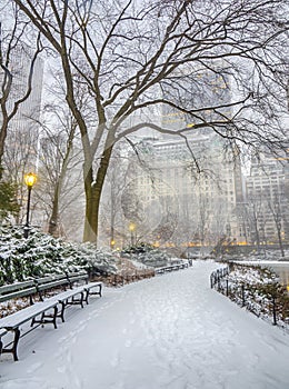 Central Park, New York City blizzard