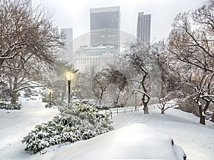 Central Park, New York City blizzard