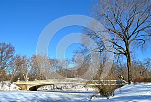 Central Park, New York City bow bridge in the winter. New York.
