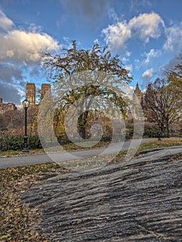 Central Park, New York City in late autumn