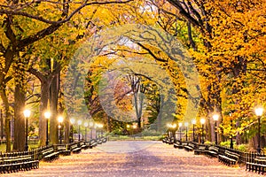 Central Park in New York City photo