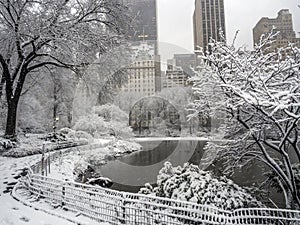 Central Park New York City, Manhattan during blizzard