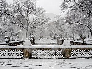 Central Park New York City, Manhattan during blizzard