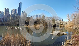 Central Park of New York City, NY, USA