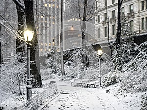 Central Park, New York City snow storm