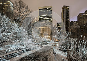 Central Park, New York City