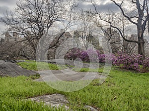 Central Park, New York City spring