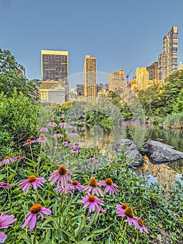 Central Park, New York City spring