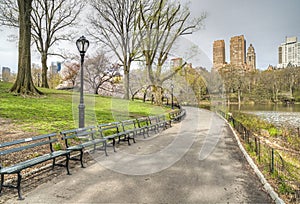 Central Park, New York City spring