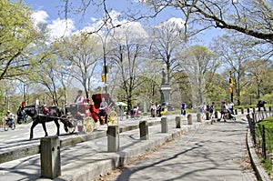 Central Park New York City