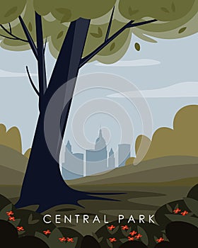 Central park. New York. Poster