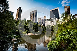 Central Park in New York. Skyscrappers on the backgroud. Summer. New York photo