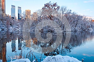 Central Park. New York. USA in winter