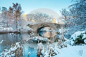 Central Park. New York. USA in winter covered with snow