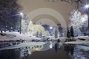 Central Park at Night NYC