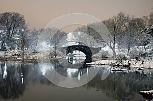 Central Park at night NYC