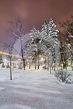 Central park at night in winter season