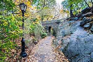 Central Park in November