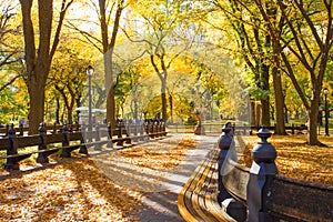 Central Park NY