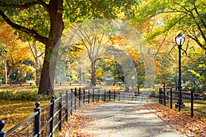 Central Park NY