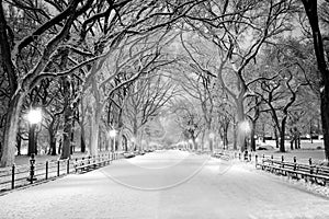 Central Park, NY covered in snow at dawn