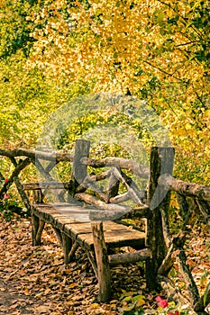 Central Park NYC Bench