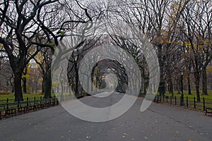 Central Park Path