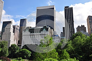 Central Park pond