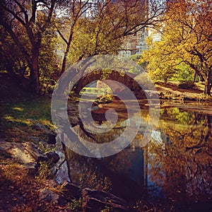 Central Park pond. New York, NY, USA.