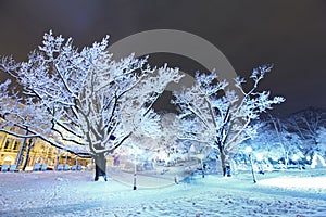 Central park in Riga, Latvia at winter night