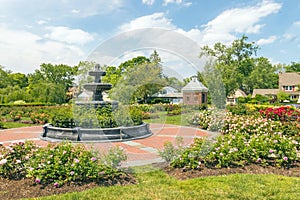 Central Park Rose Garden