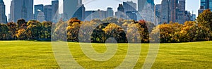 Central Park Sheep Meadow with Fall Foliage, Manhattan, New York