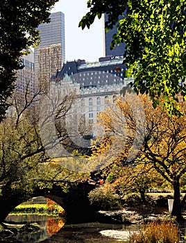 Central Park skyline