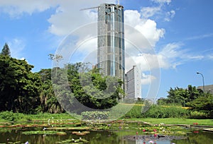 Central Park skyscrapers in Caracas Venezuela as seen from Botanical Garden