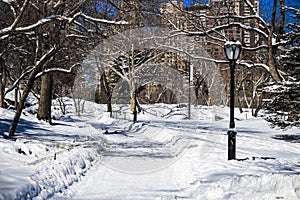Central Park in the snow